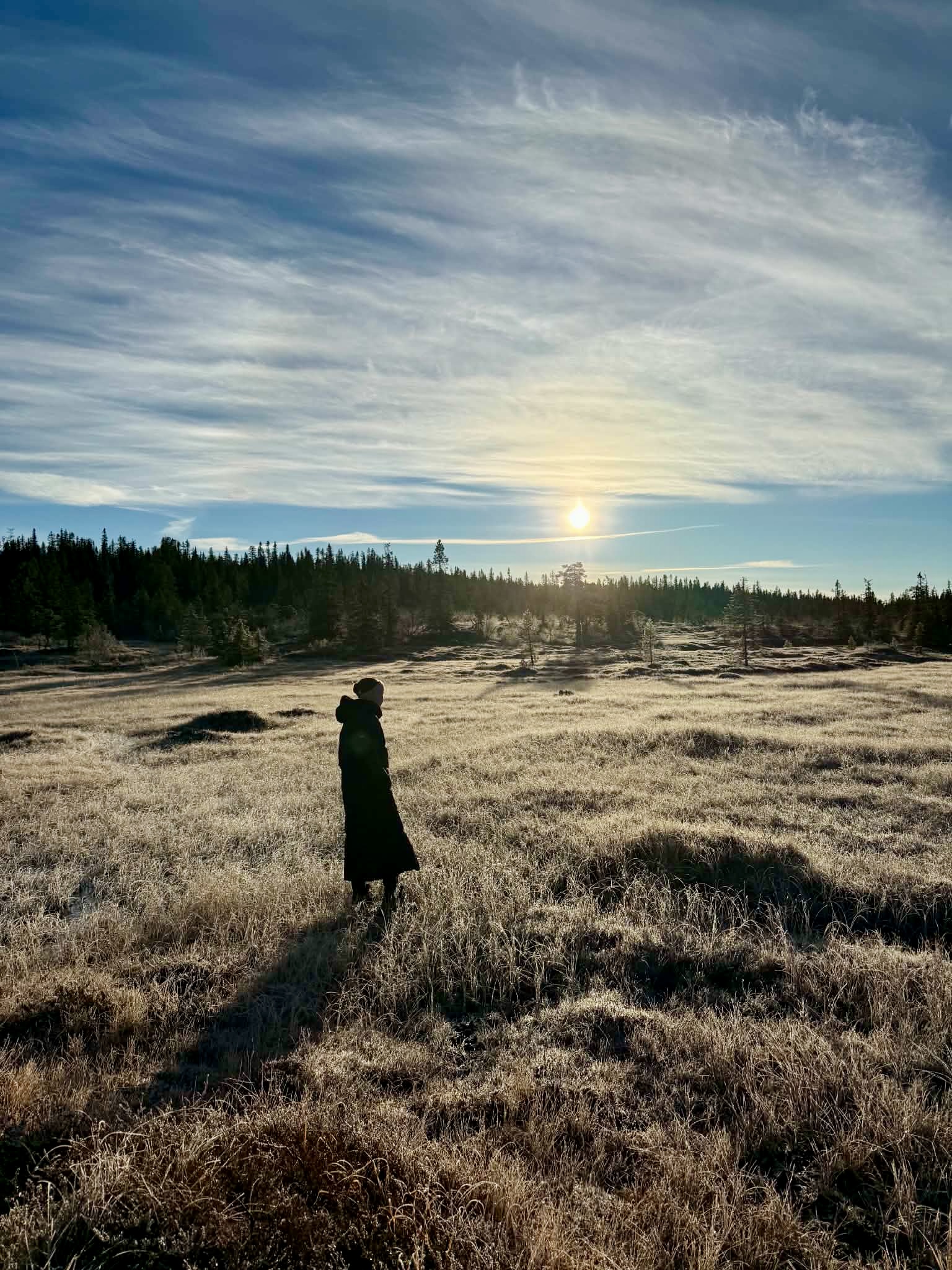 Lone hiker in frosty Norwegian moorland at sunrise