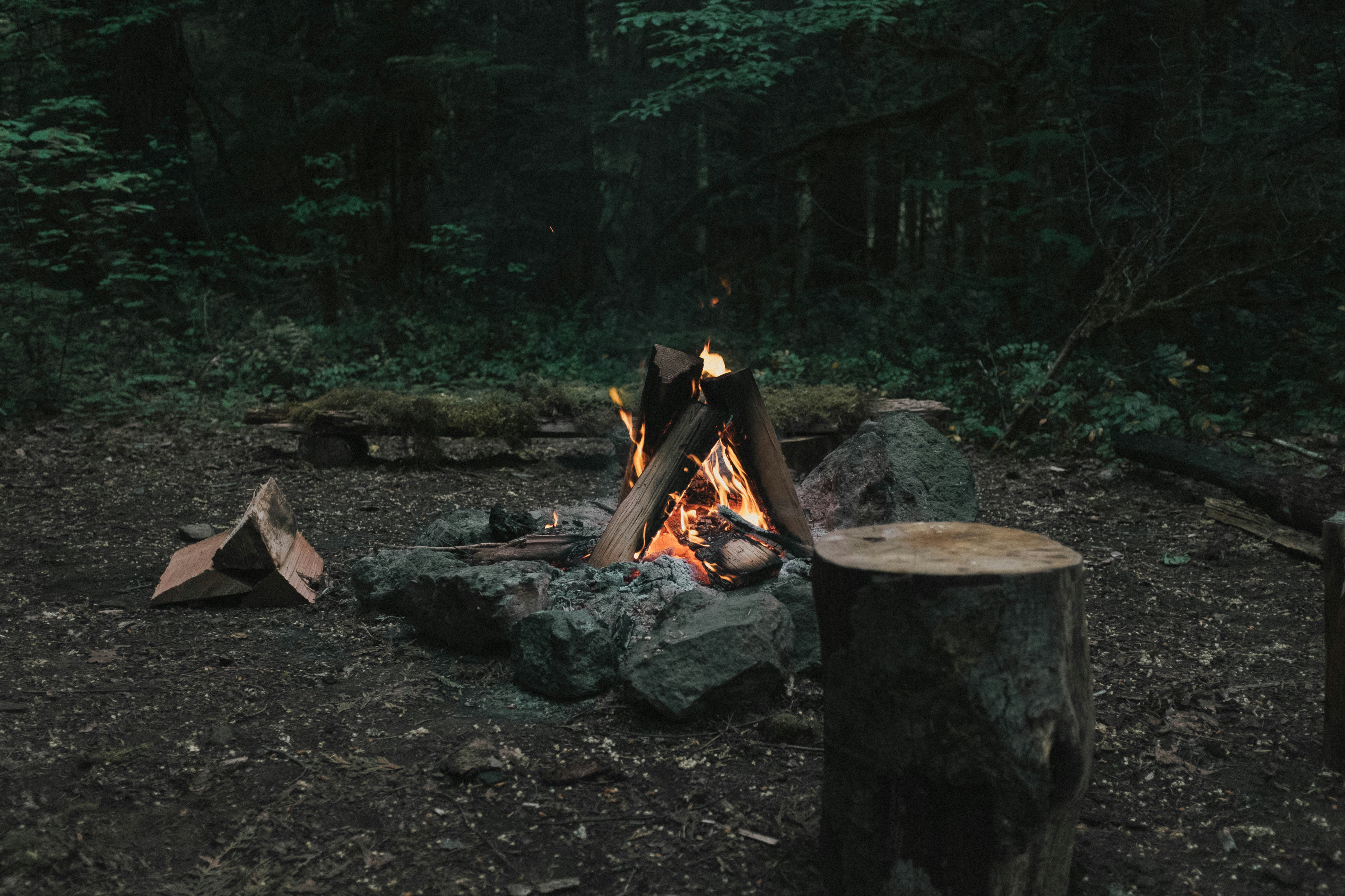 Campfire cooking in the Nordmarka forest at dusk