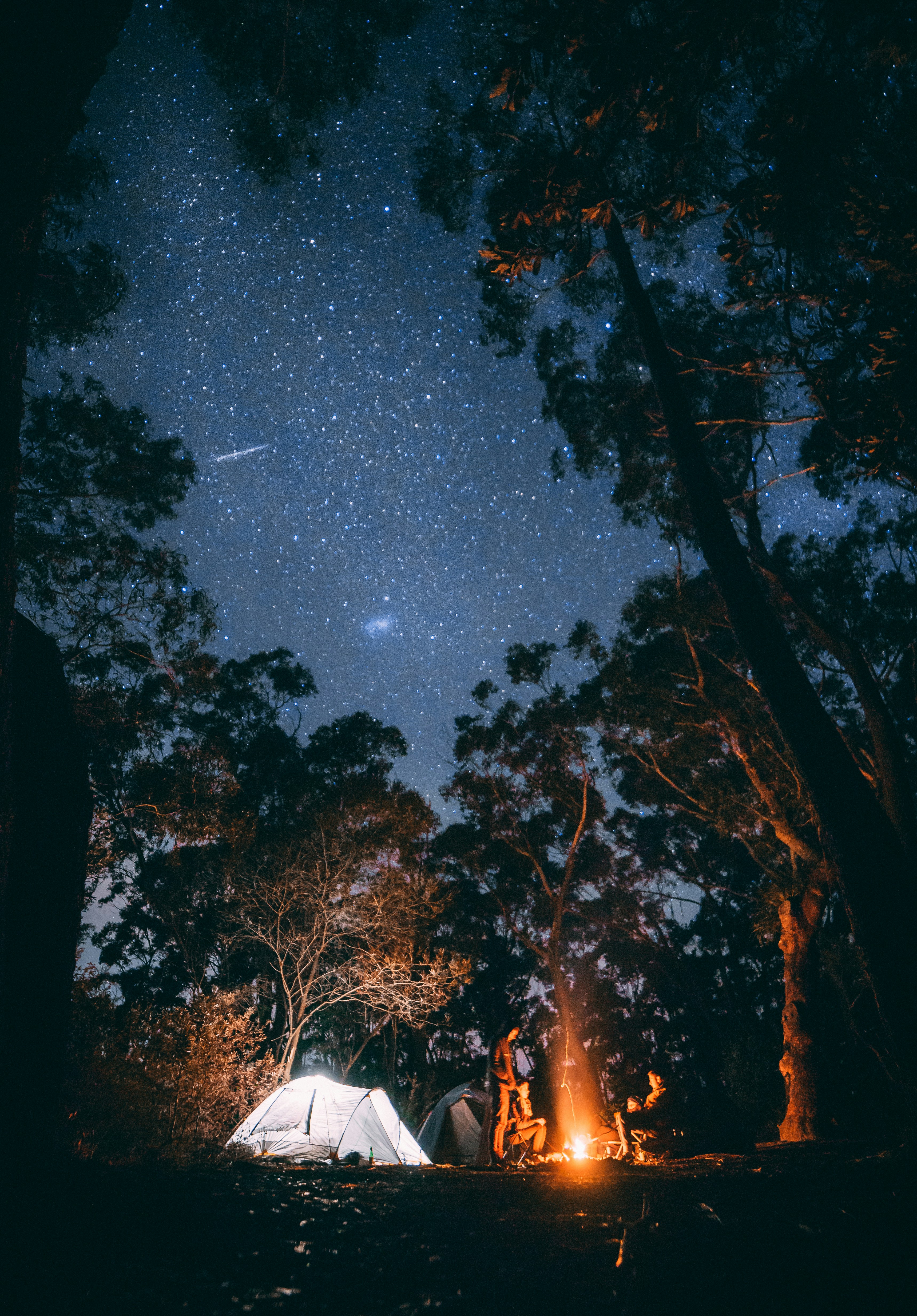 Tent and campfire under a starry sky in Nordmarka forest